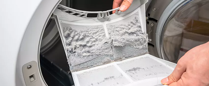 Best Dryer Lint Removal Company in Ukiah, California