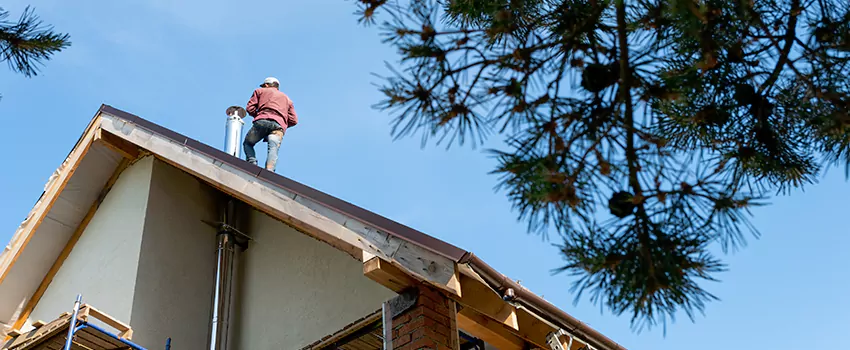 Birds Removal Contractors from Chimney in Ukiah, CA
