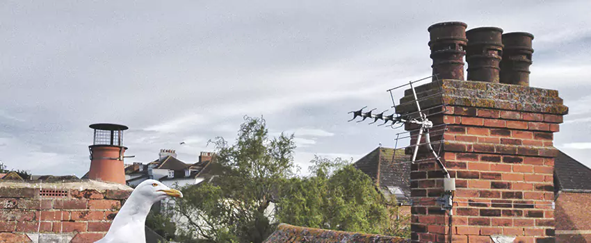 Chimney Cleaning And Restoration in Ukiah, California